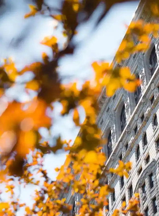 Autumn leaves in orange hues blurred in foreground with historic stone building facade in background.